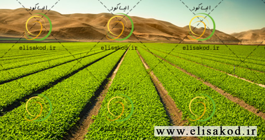 کود تقویتی کامل