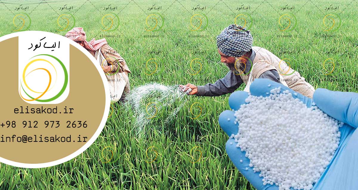 قیمت کود نیترات کلسیم گرانوله