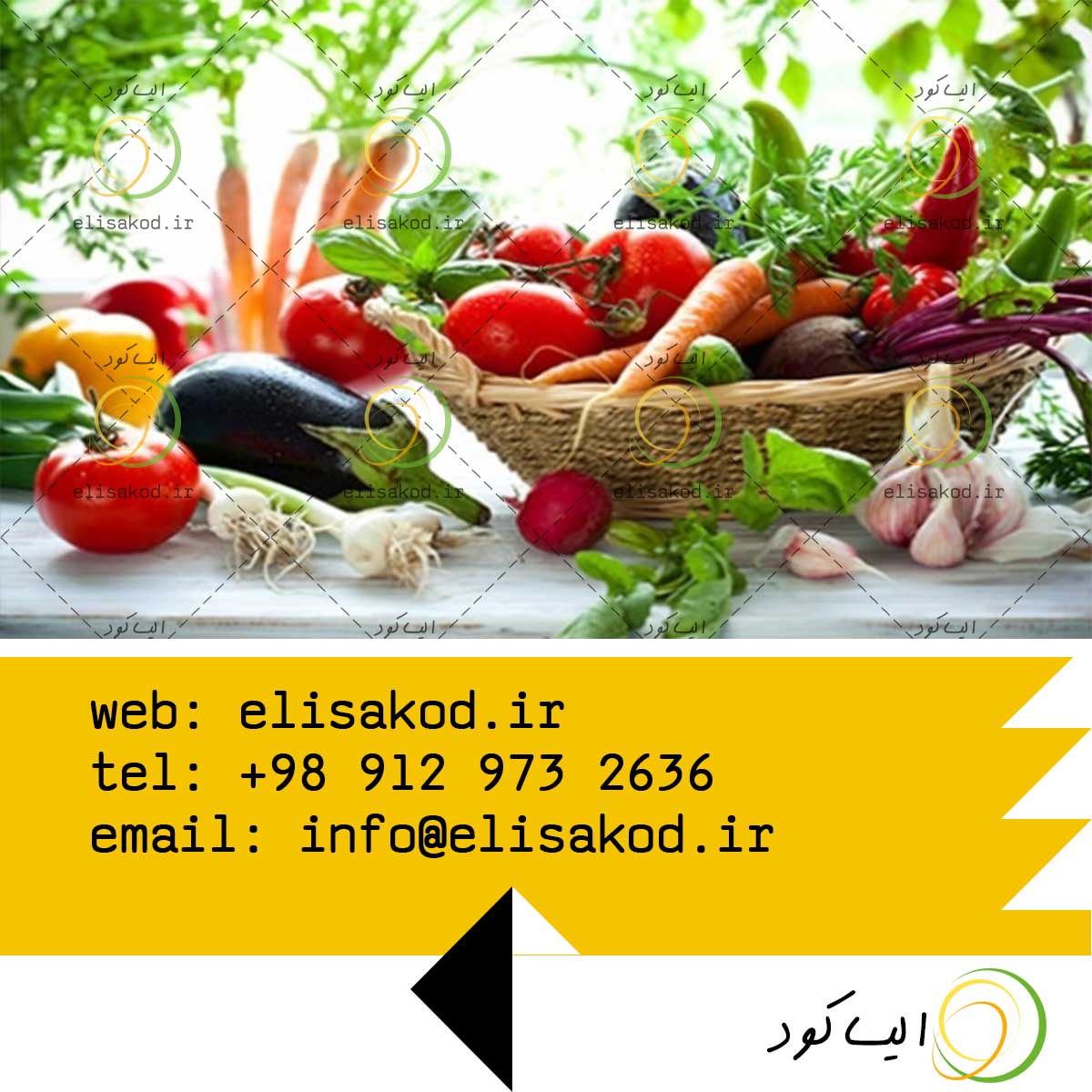 تاثیر سولفات آمونیوم قزوین