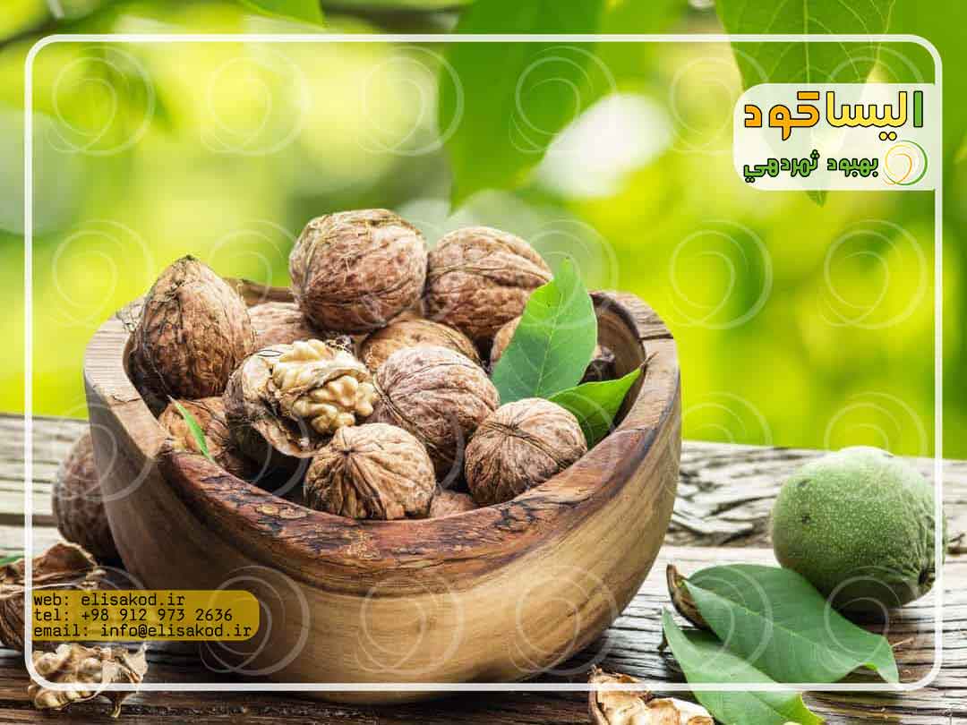 کود برای رشد سریع درخت گردو