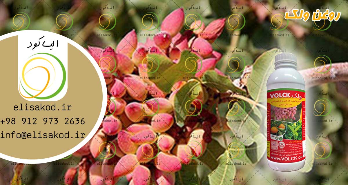 روغن ولک لیتری | فروش عمده سم زمستانه