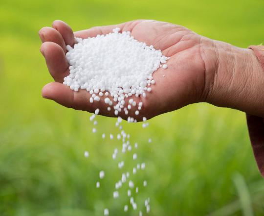 روش های فروش سولفات آمونیوم گندم