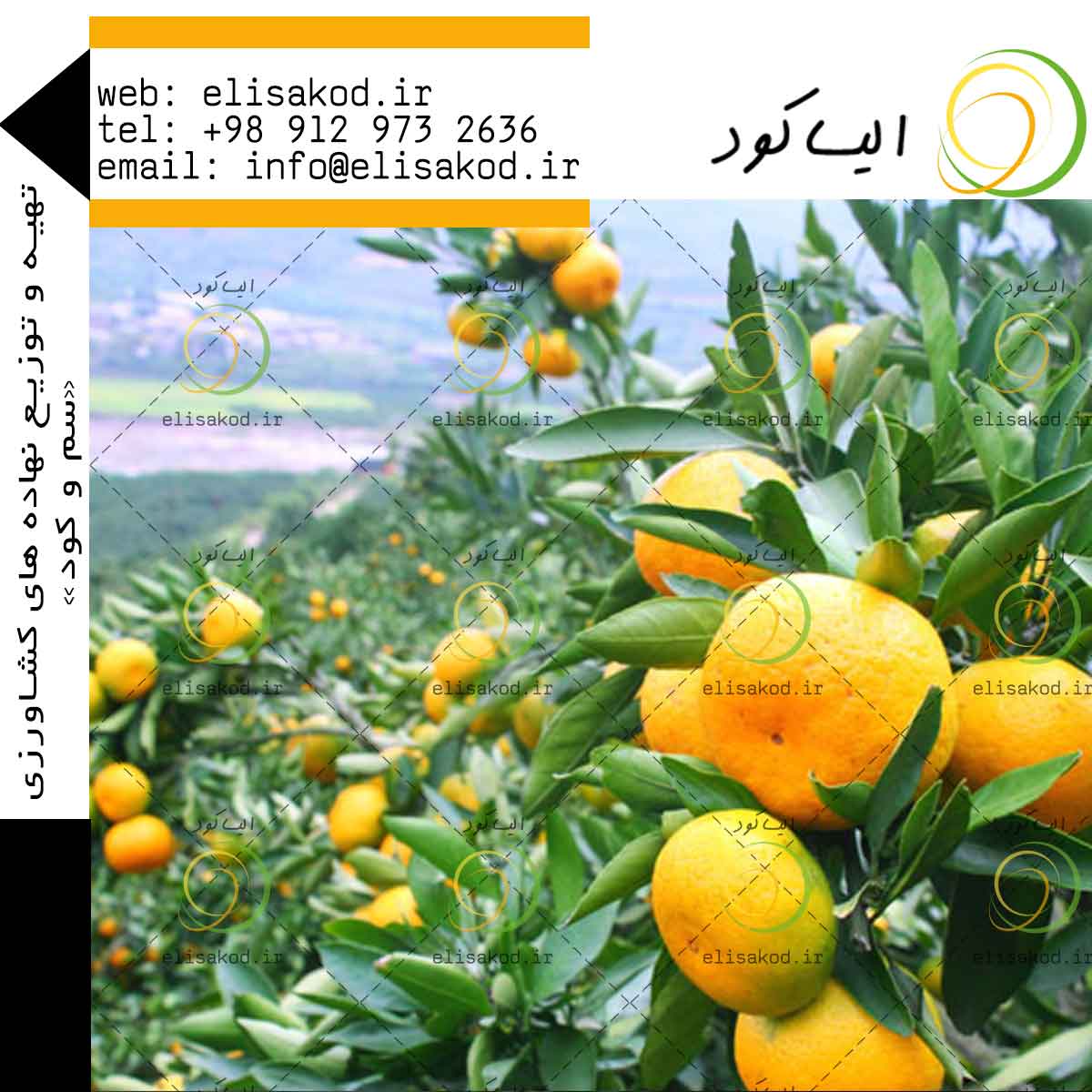 سولفات آمونیوم قزوین مرکبات