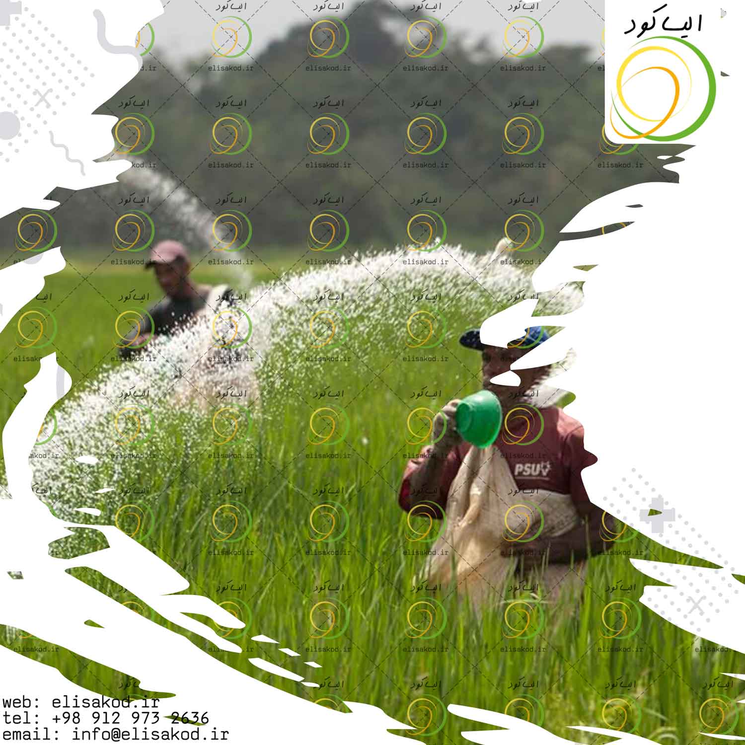 کاربرد سولفات پتاسیم در کشاورزی