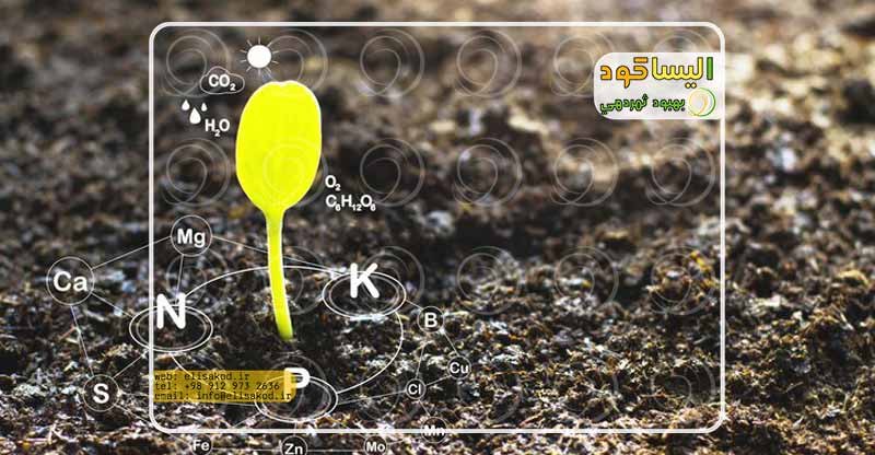 خرید-کود-کشاورزی-اوره