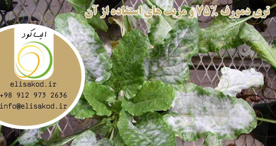 تری دمورف 75% و مزیت های استفاده از آن