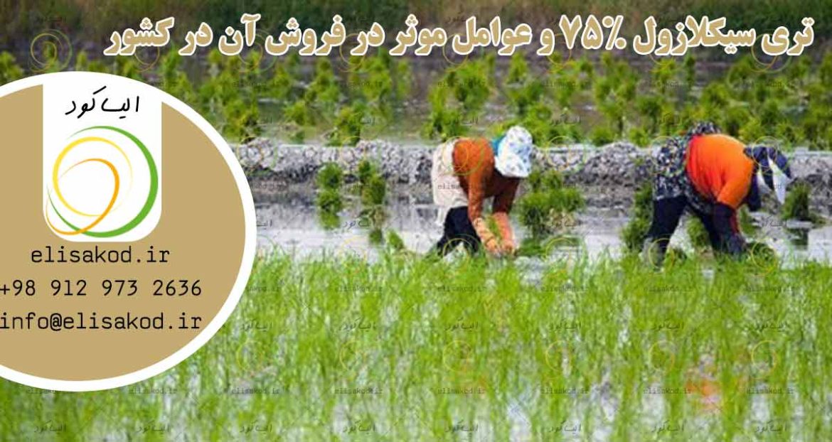 تری سیکلازول 75% و عوامل موثر در فروش آن در کشور